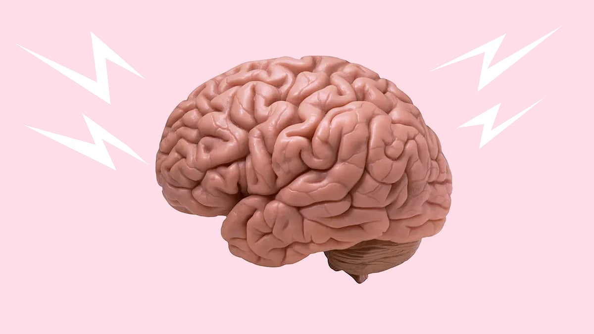 কোলাজ: একটু থামুন