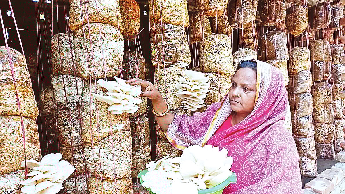 ছবি: প্রথম আলো