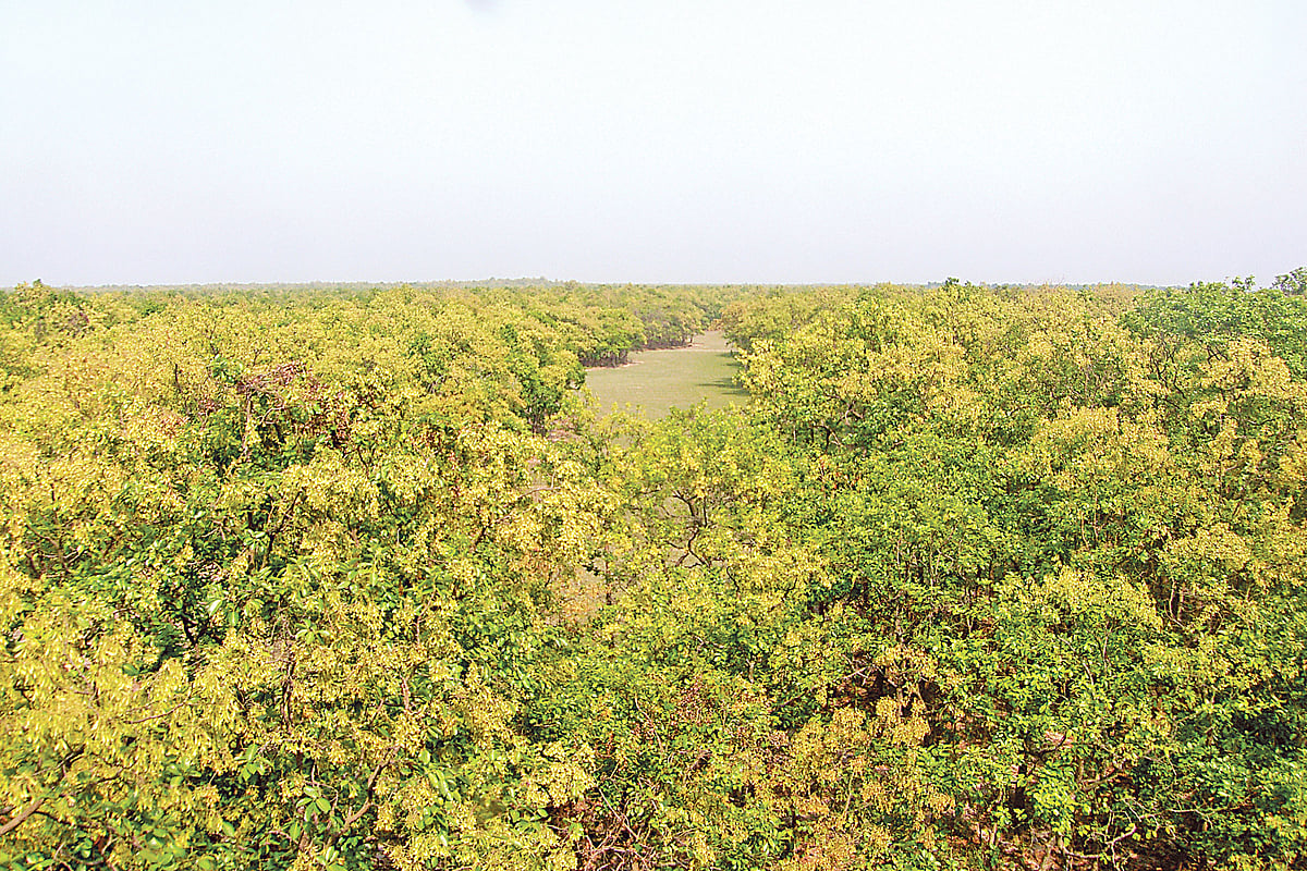   ছবি: লেখক