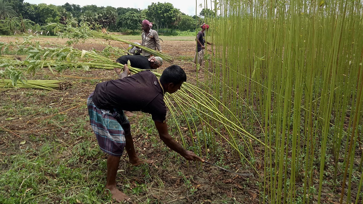 ছবি: প্রথম আলো