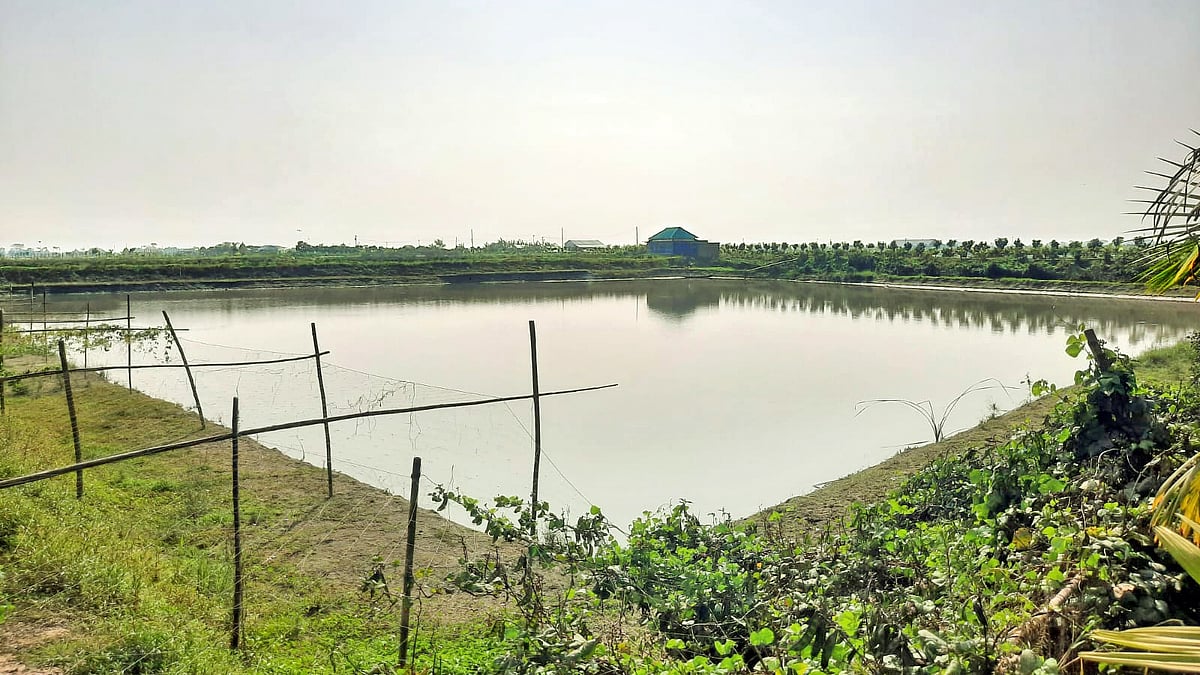 ছবি: প্রথম আলো