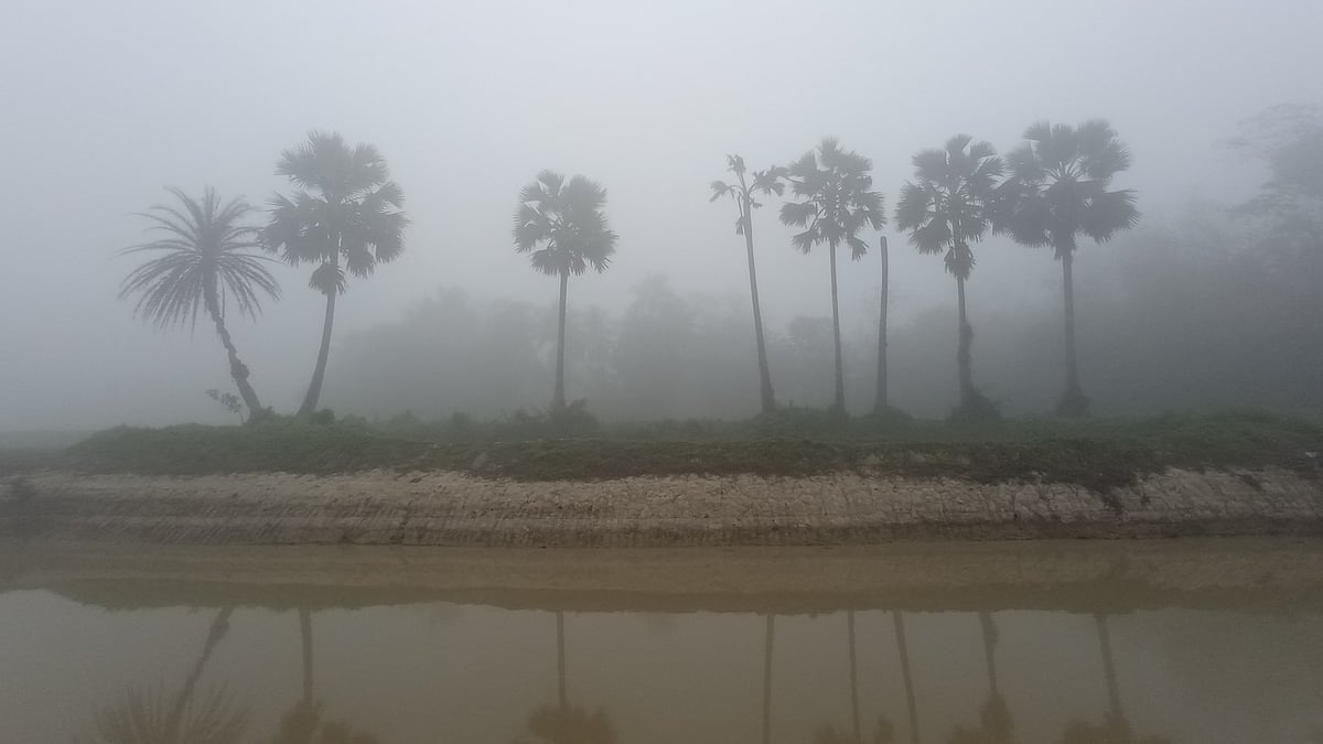 ফাইল ছবি