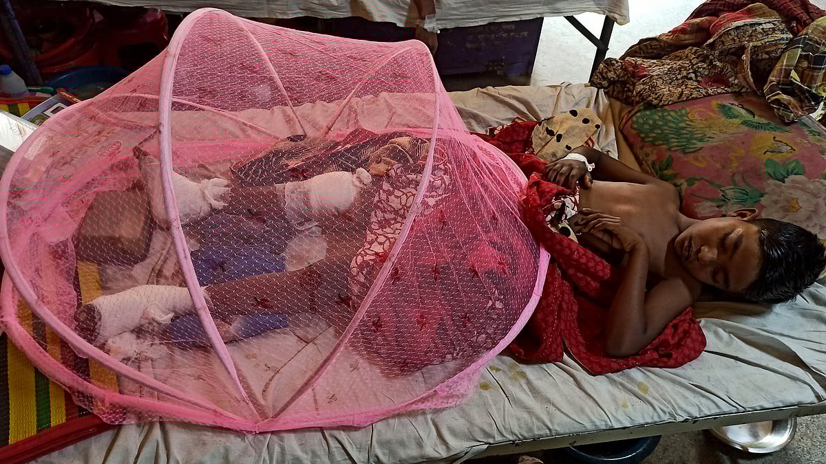 ছবি: প্রথম আলো