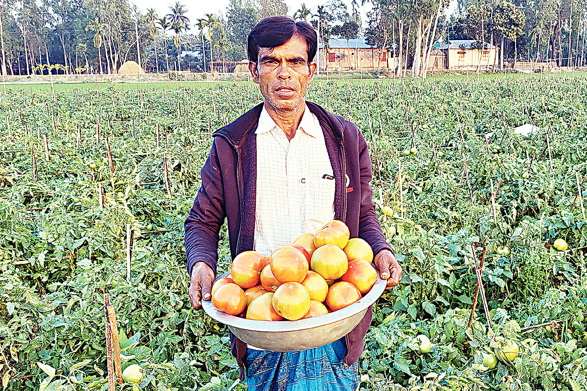 ছবি: প্রথম আলো