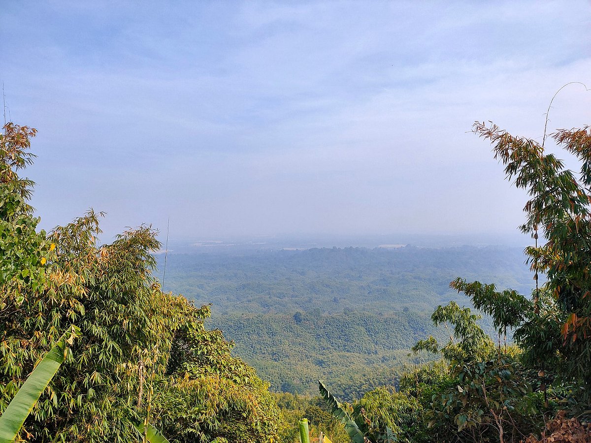 ছবি: লেখক