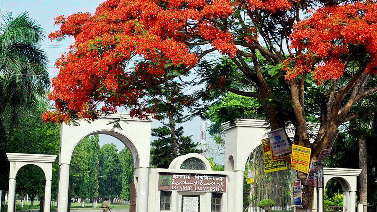 ফাইল ছবি