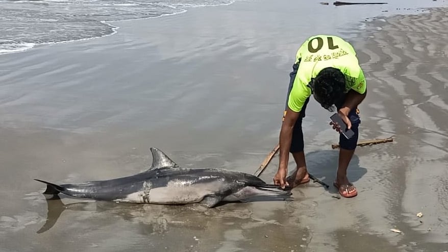 ছবি: সংগৃহীত