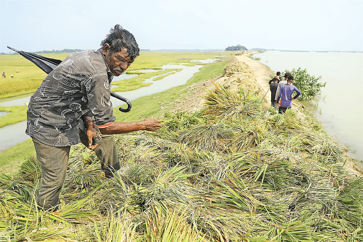 ছবি: আনিস মাহমুদ