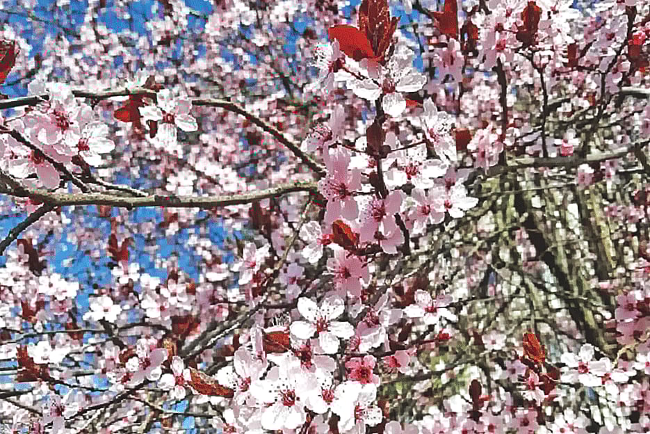 ছবি: লেখক