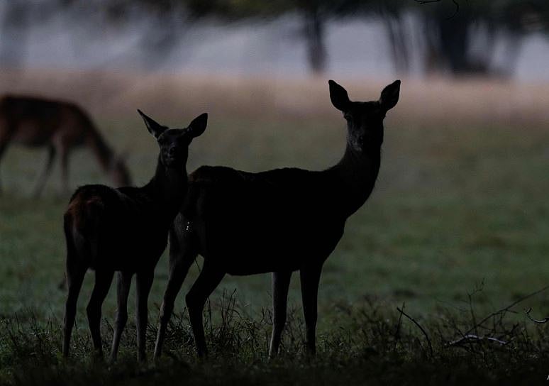 ছবি: এএফপি