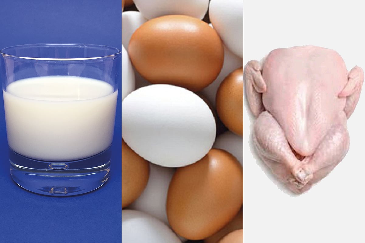 প্রতীকী ছবি