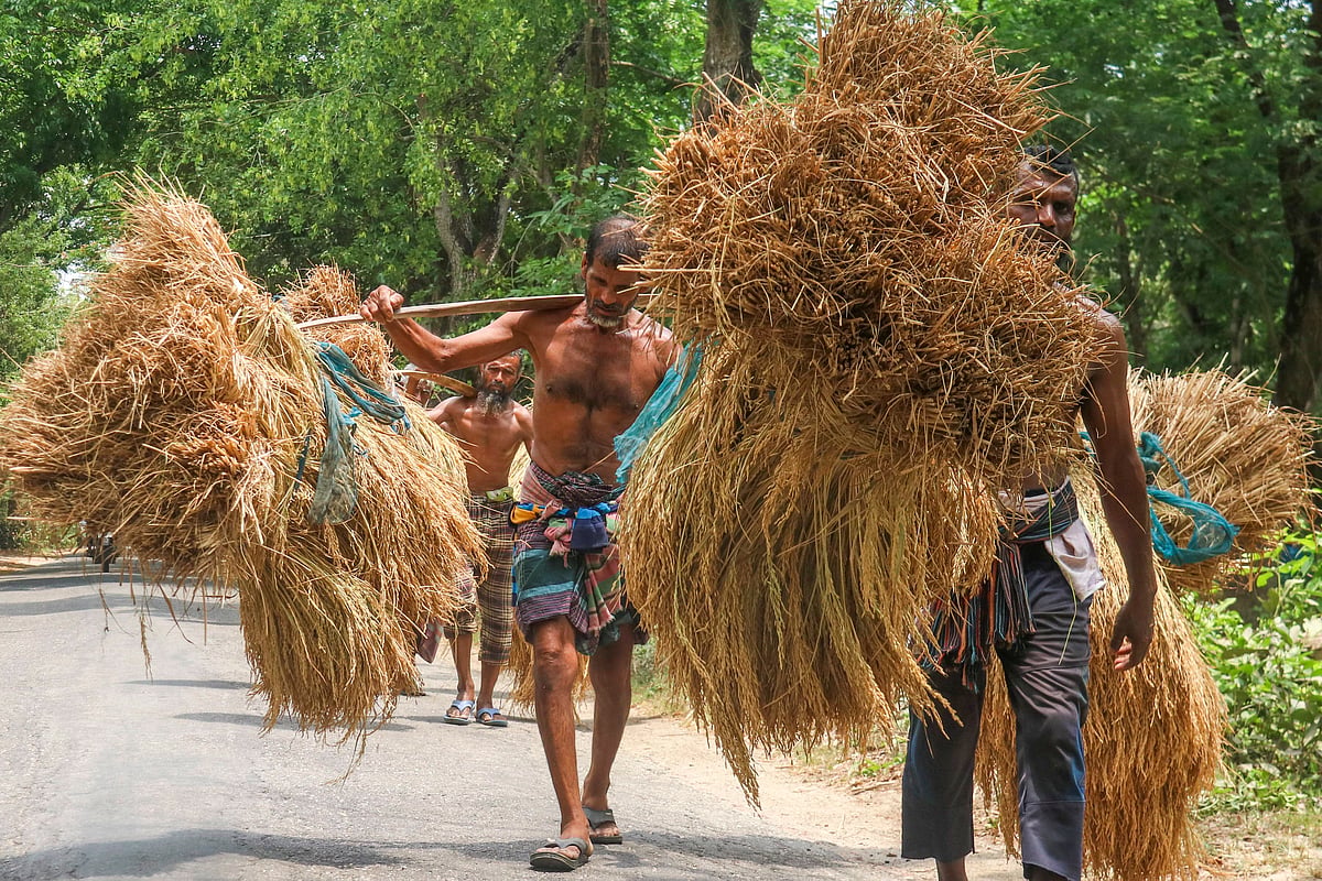 ছবি: সাদ্দাম হোসেন
