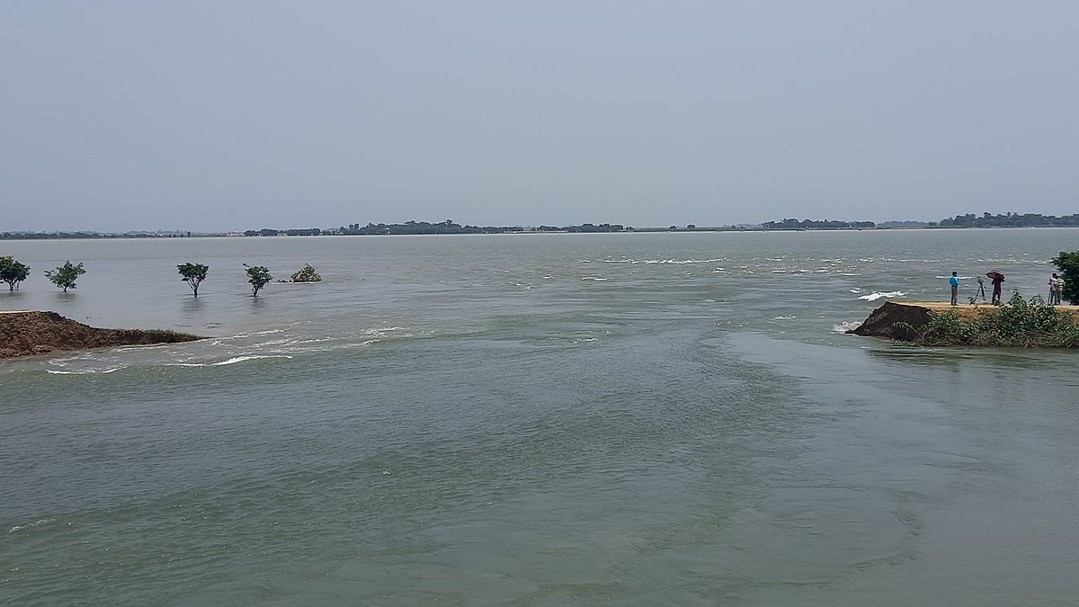 ছবি: প্রথম আলো