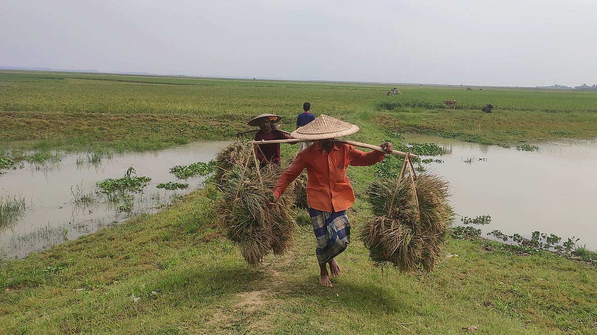 ছবি: অমিত দেব