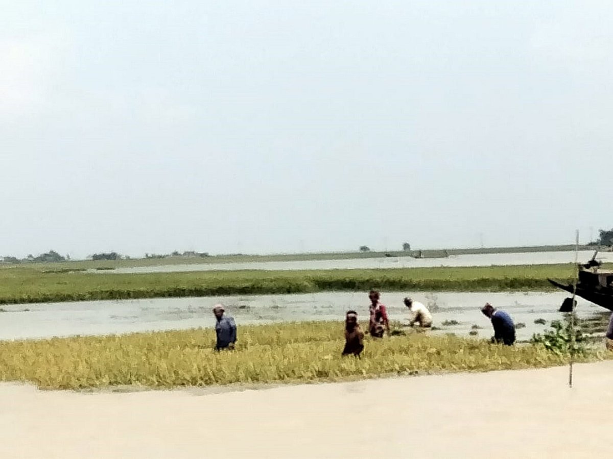 ছবি: প্রথম আলো