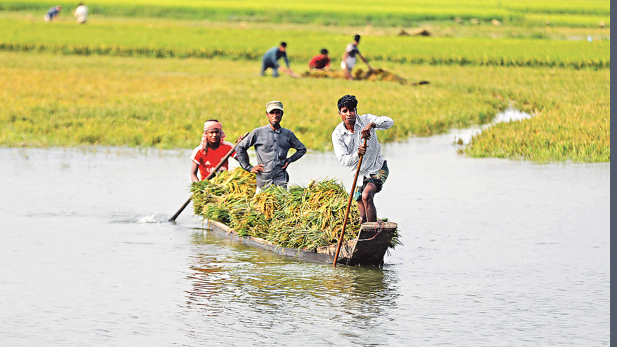 ছবি: আনিস মাহমুদ