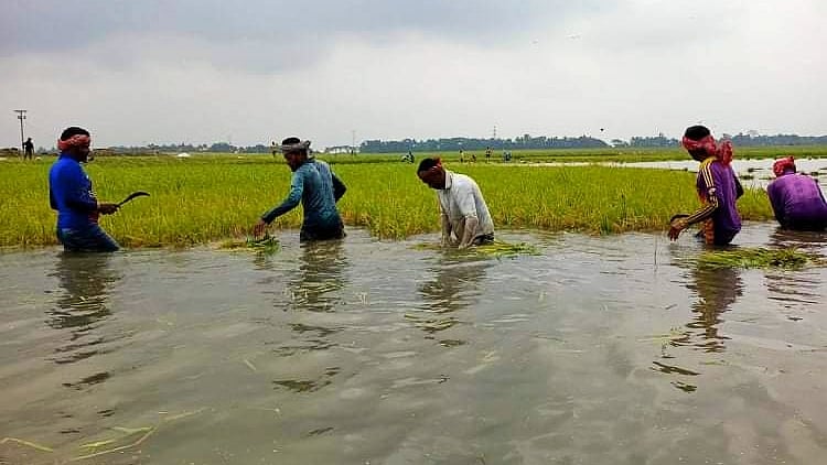ছবি: তাফসিলুল আজিজ
