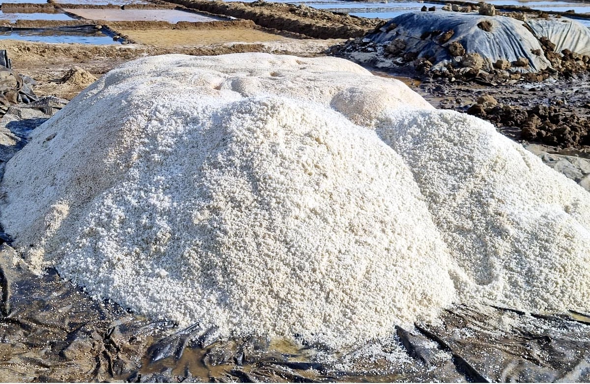 ছবি: প্রথম আলো