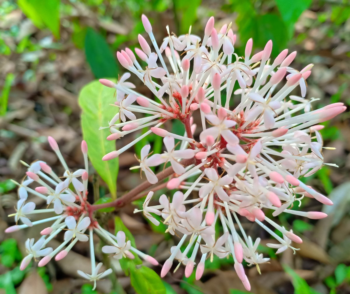 ছবি: প্রথম আলো