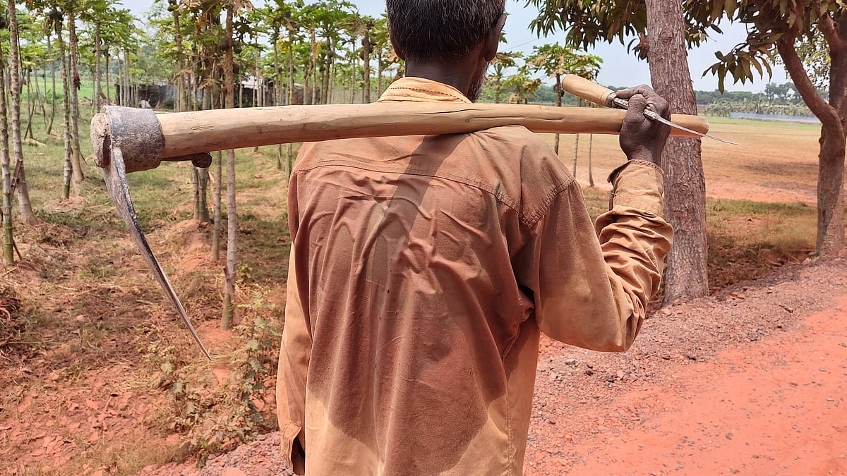 ছবি: প্রথম আলো