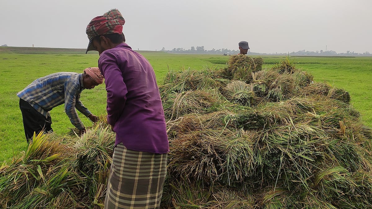 ছবি: প্রথম আলো