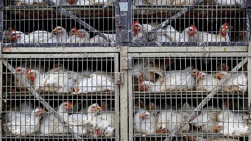 ছবি: রয়টার্স