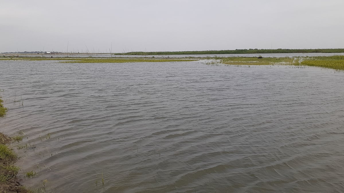 ছবি: প্রথম আলো