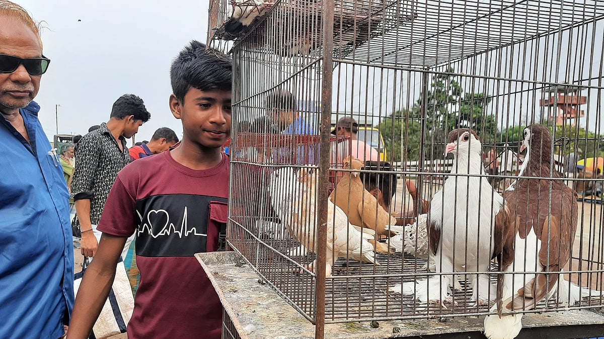 ছবি: প্রথম আলো