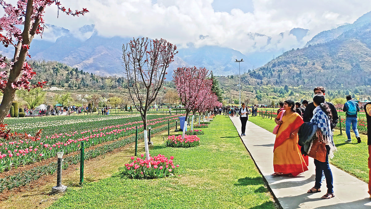 সম্প্রতি তোলা ছবি। প্রথম আলো