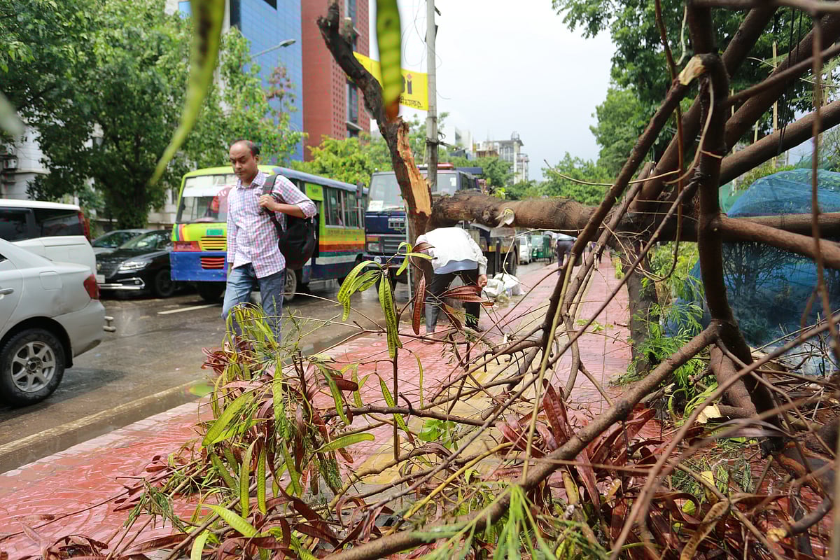ছবি: জাহিদুল করিম