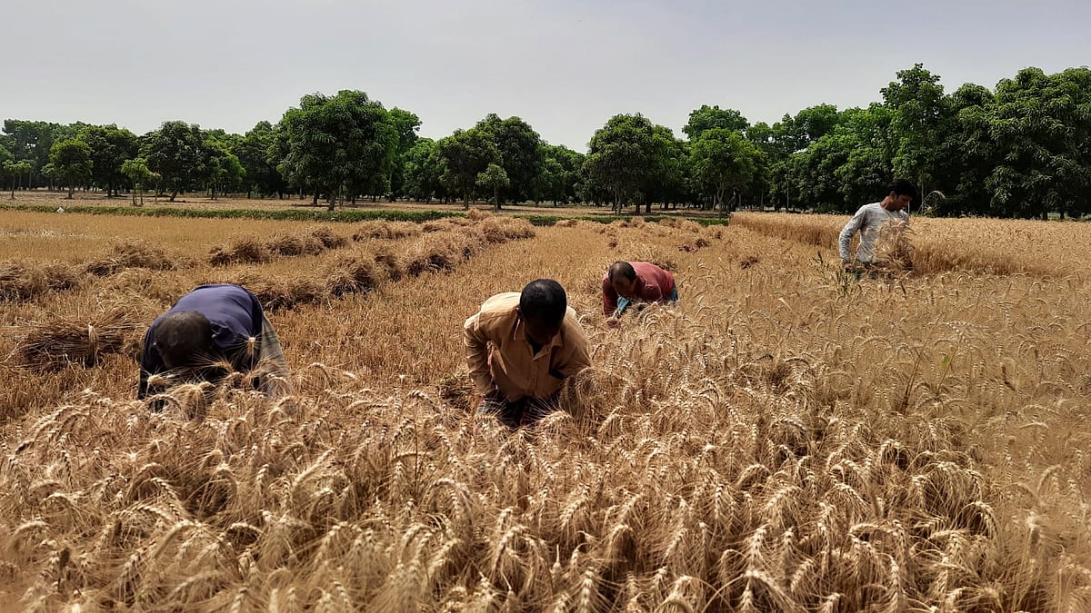 ছবি: প্রথম আলো