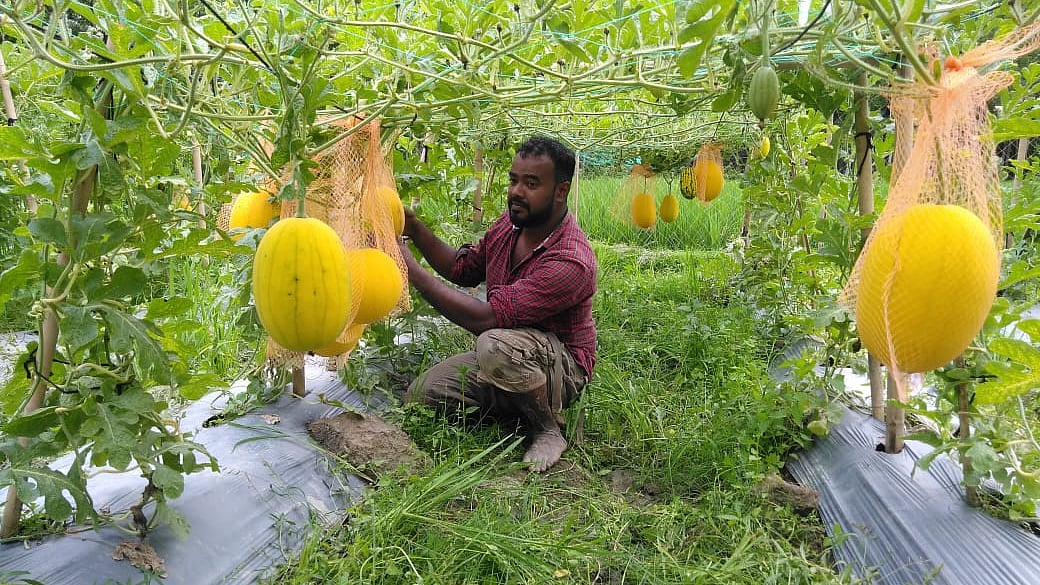 ছবি: প্রথম আলো