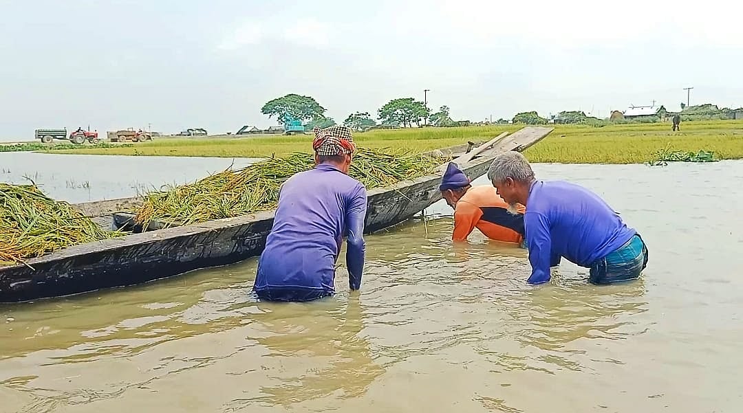 ছবি: প্রথম আলো