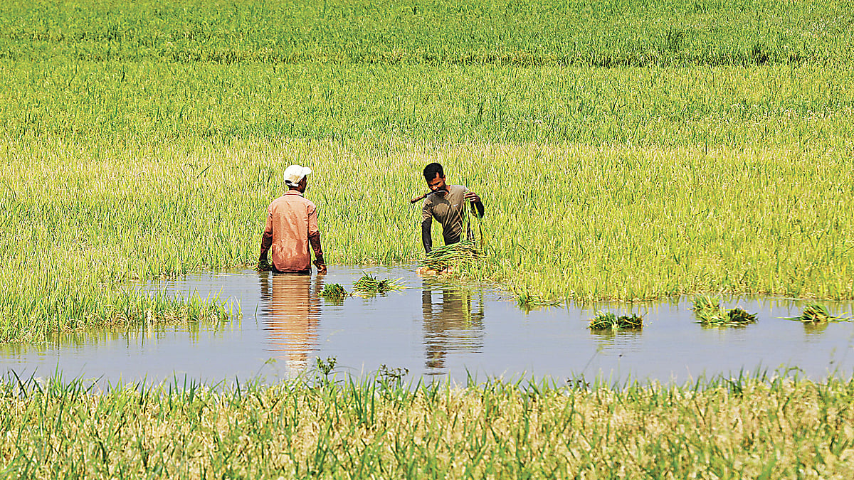 ছবি: আনিস মাহমুদ