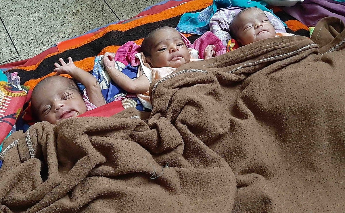 ছবি: প্রথম আলো