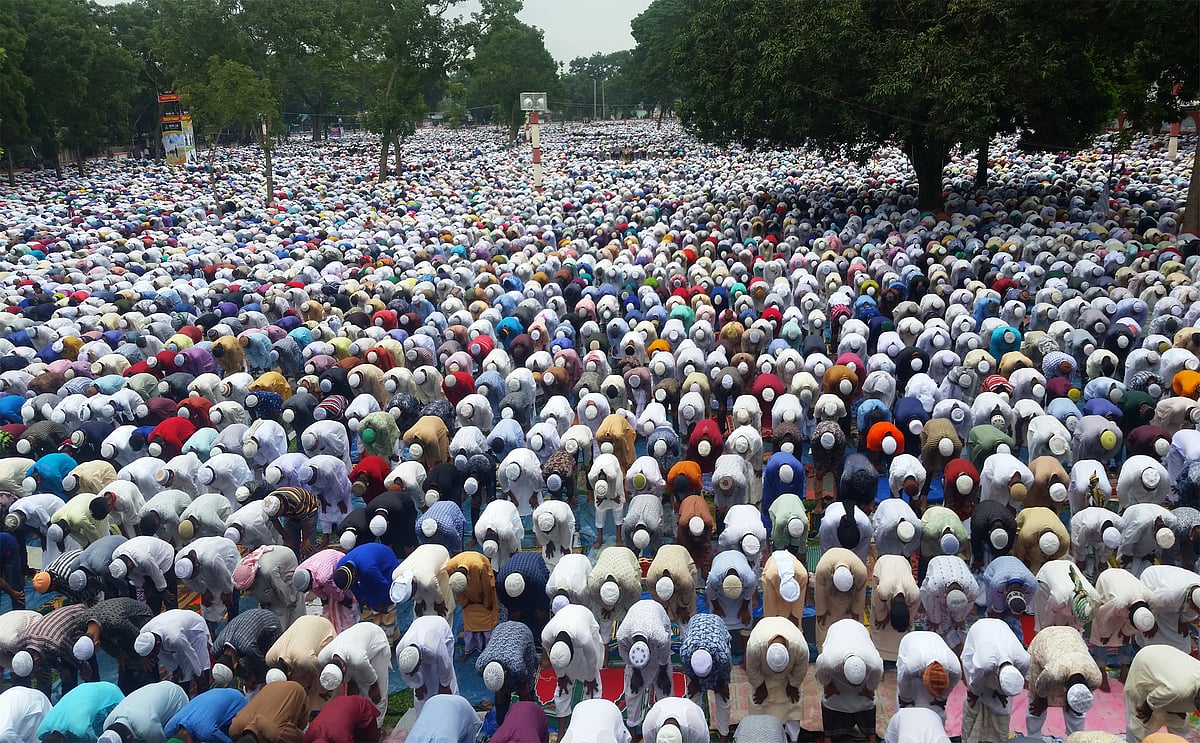 ফাইল ছবি