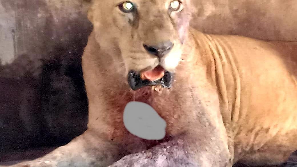  ছবি: প্রথম আলো