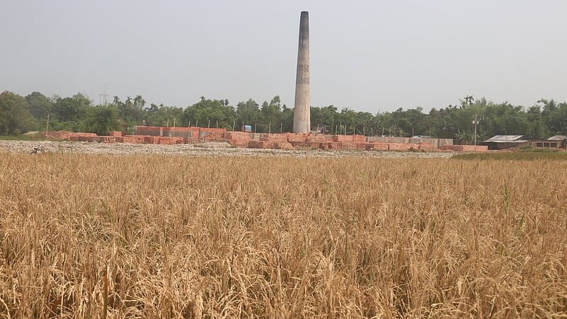   ছবি: প্রথম আলো