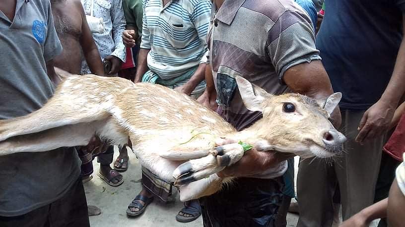 ছবি: প্রথম আলো
