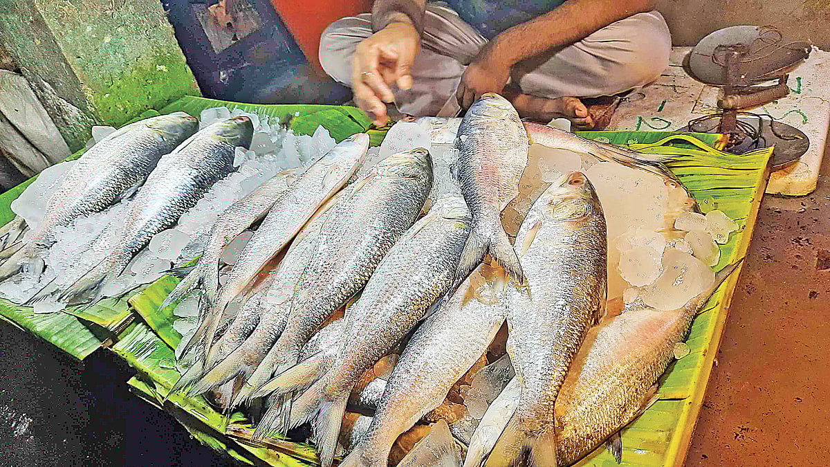 প্রথম আলো