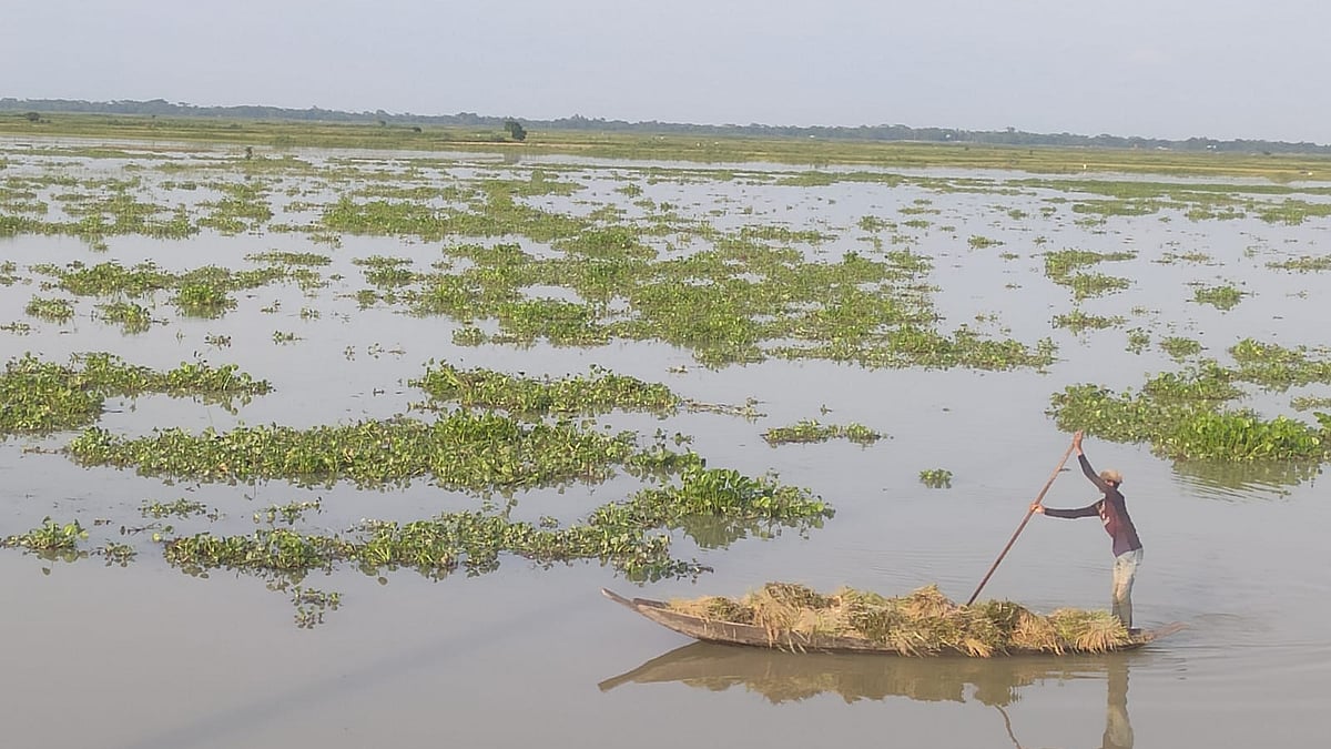 ছবি: প্রথম আলো