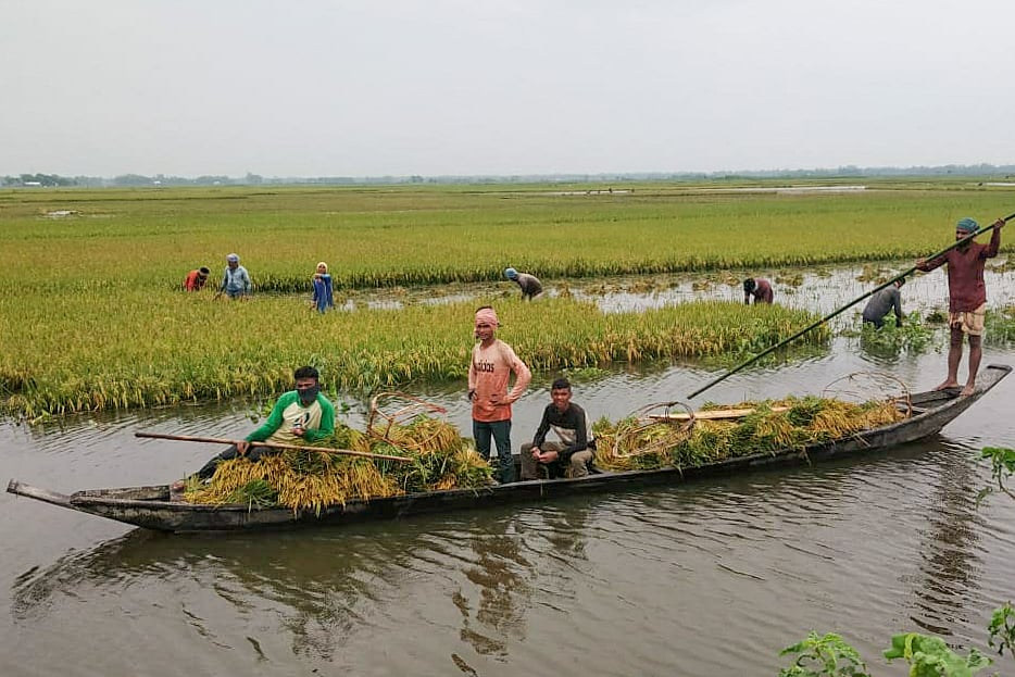 ফাইল ছবি