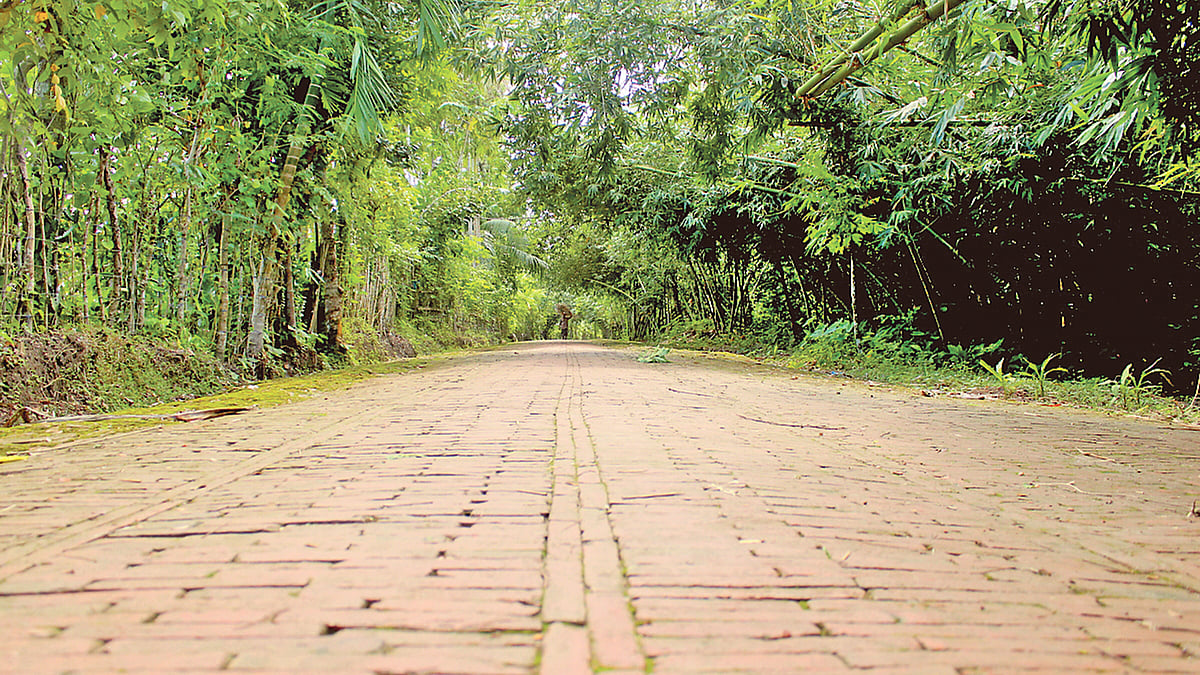 ছবি: প্রথম আলো