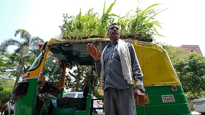 ছবি: এএফপি