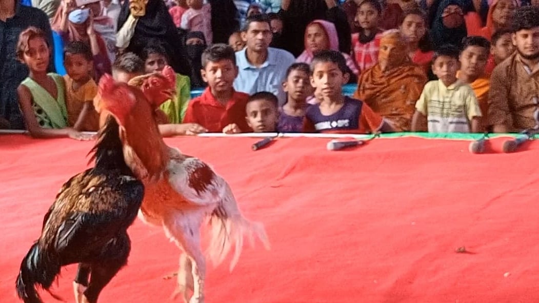 ছবি: প্রথম আলো