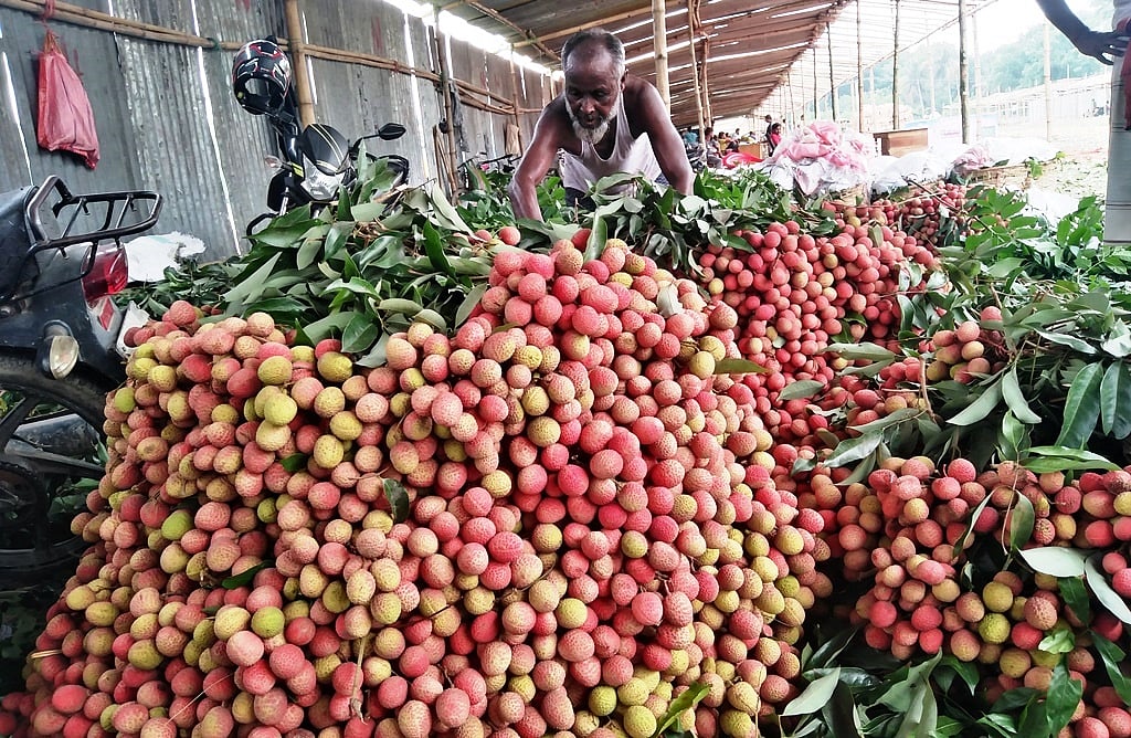 ছবি: রাজিউল ইসলাম