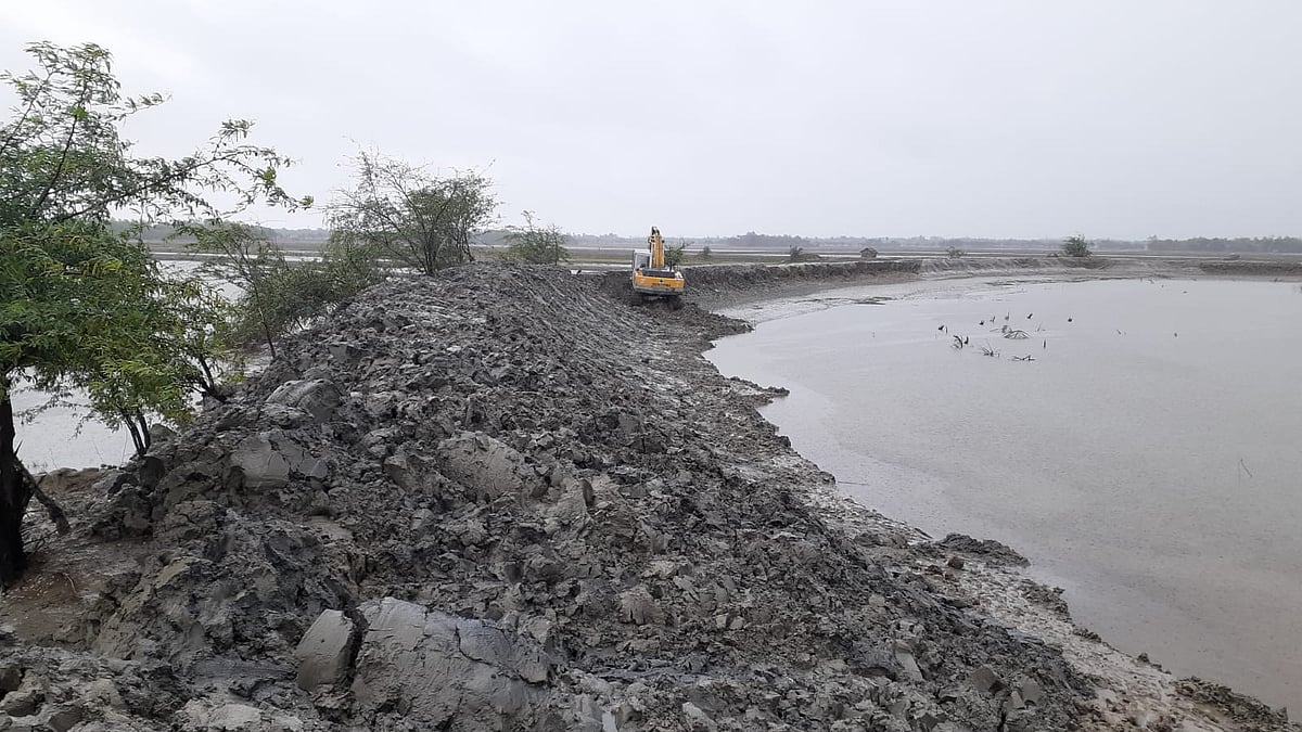 ছবি: প্রথম আলো