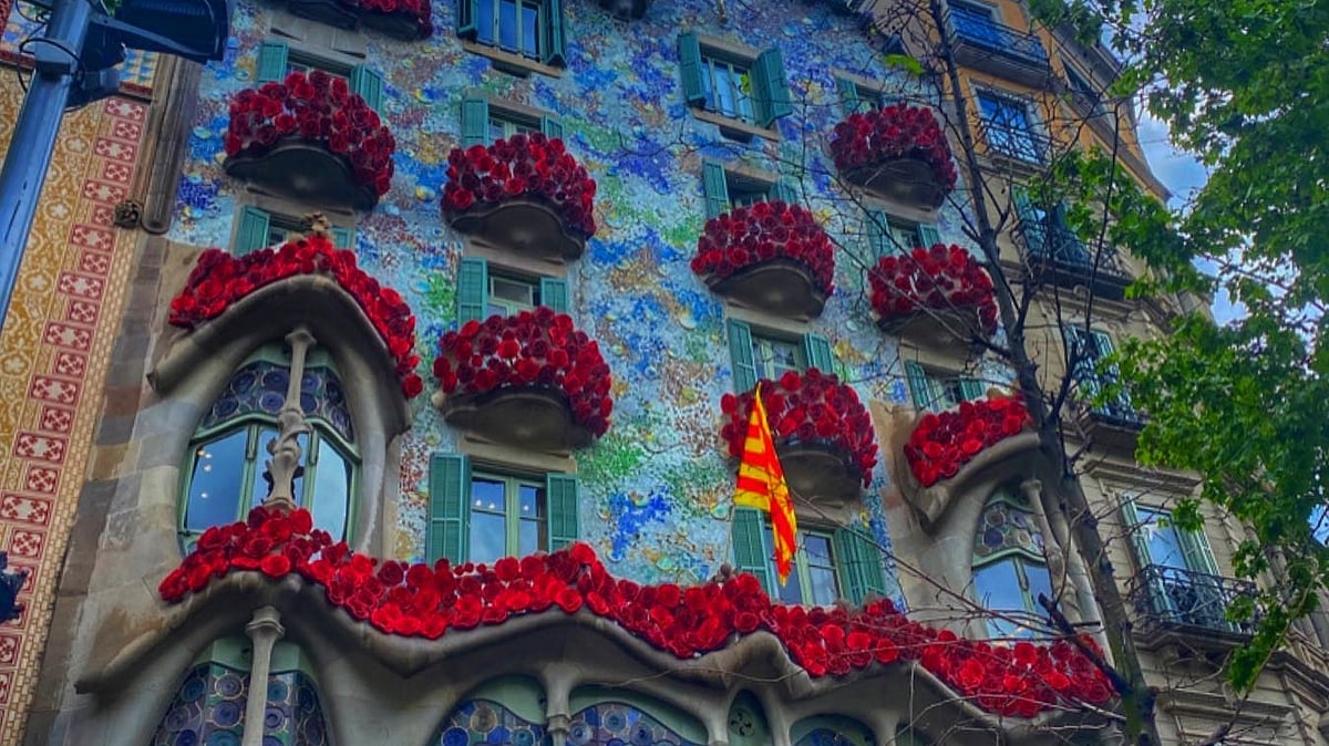 ছবি: লেখক