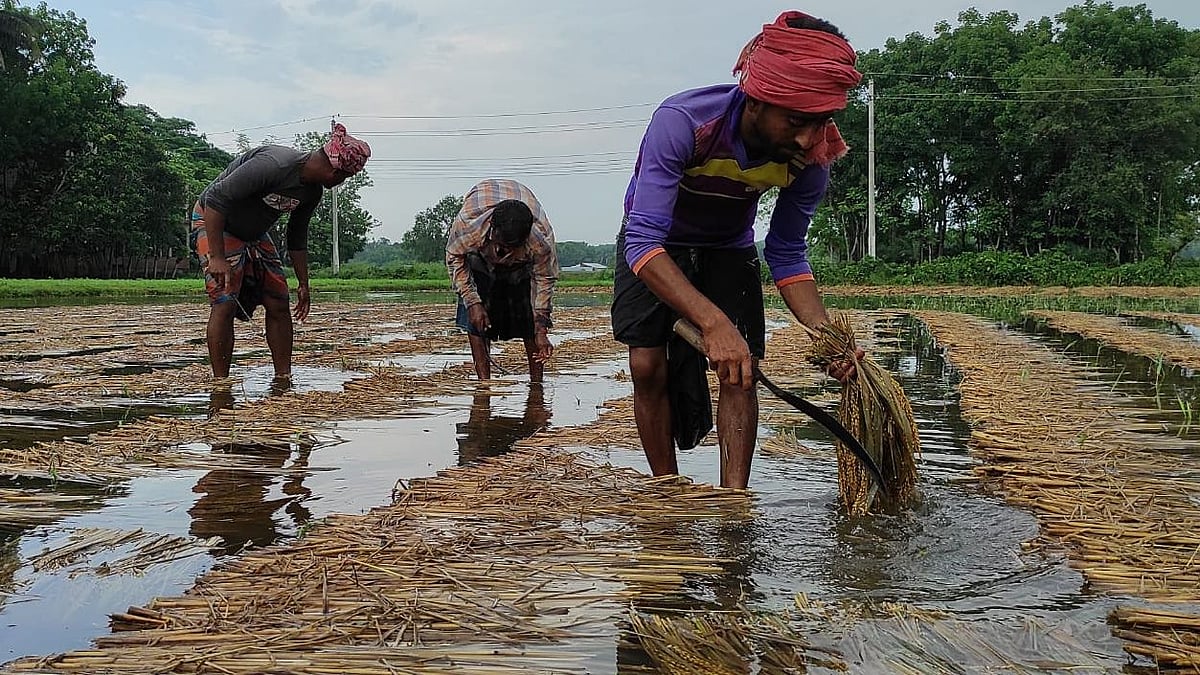 ছবি: প্রথম আলো