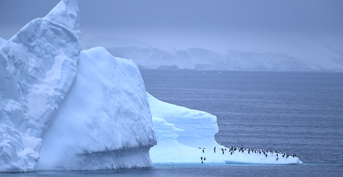 ছবি: রেজাউল বাহার 